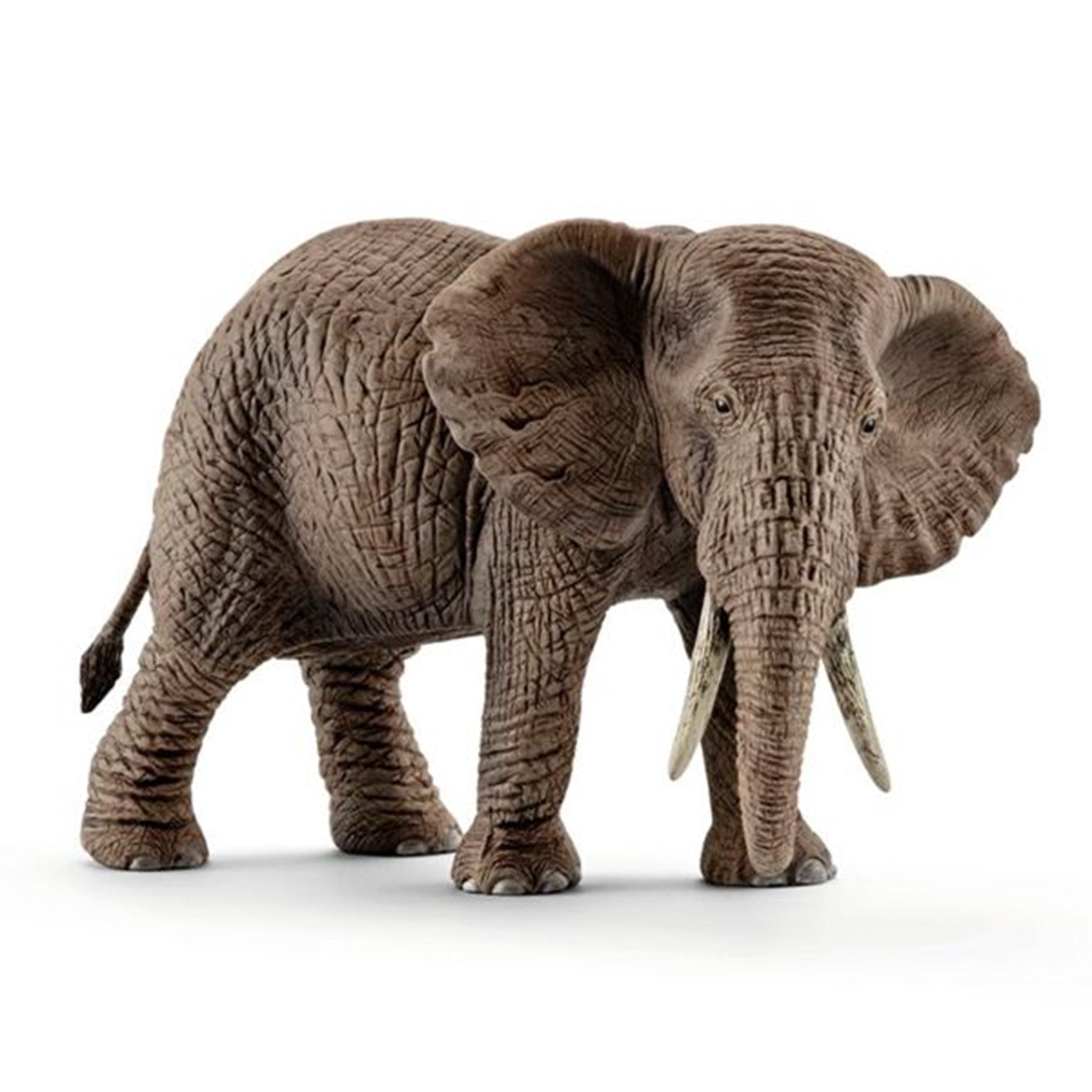 schleich® Wild Life Afrikansk Elefant Hun