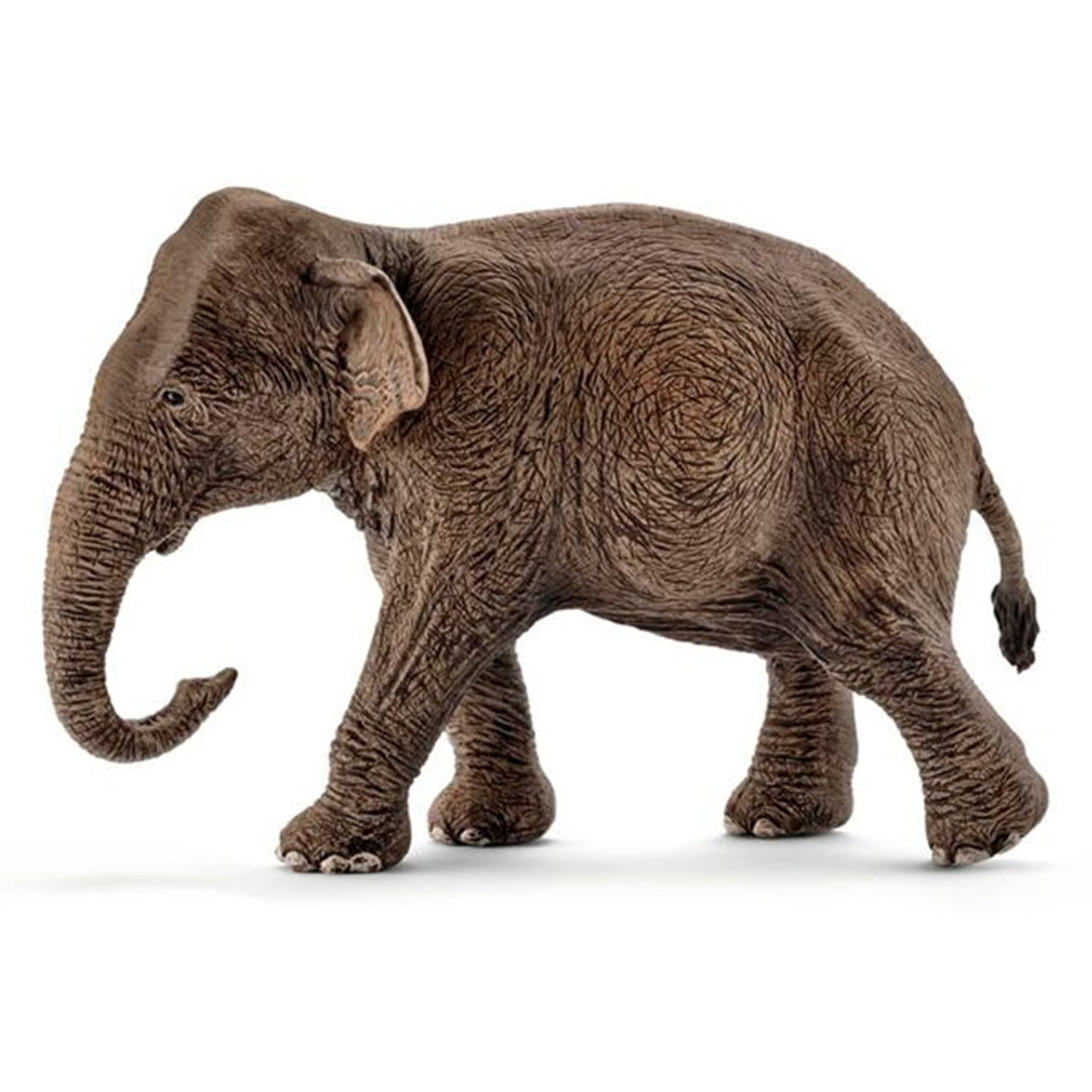 schleich® Wild Life Asiatisk Elefant Hun