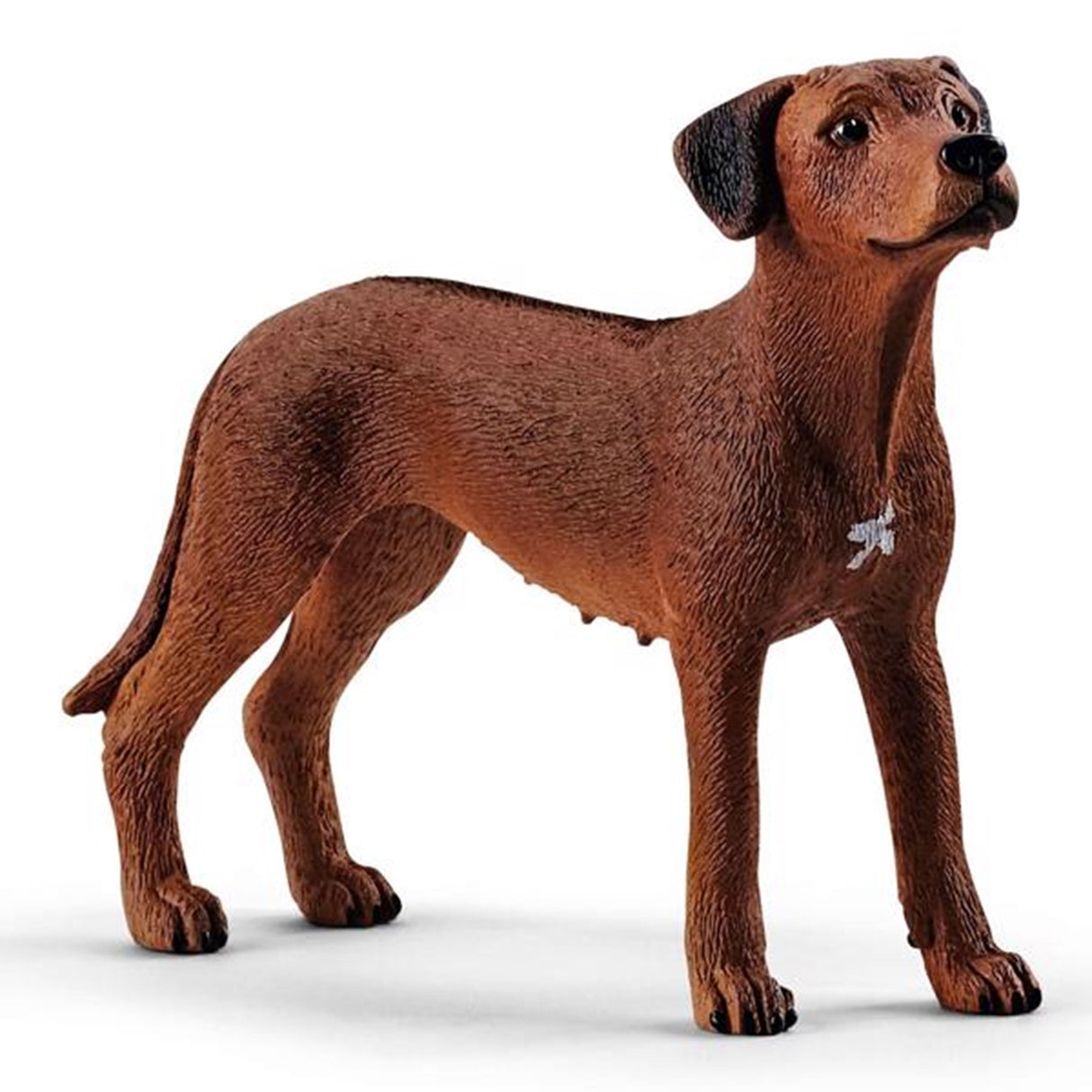 schleich® Farm World Rhodesian Ridgeback