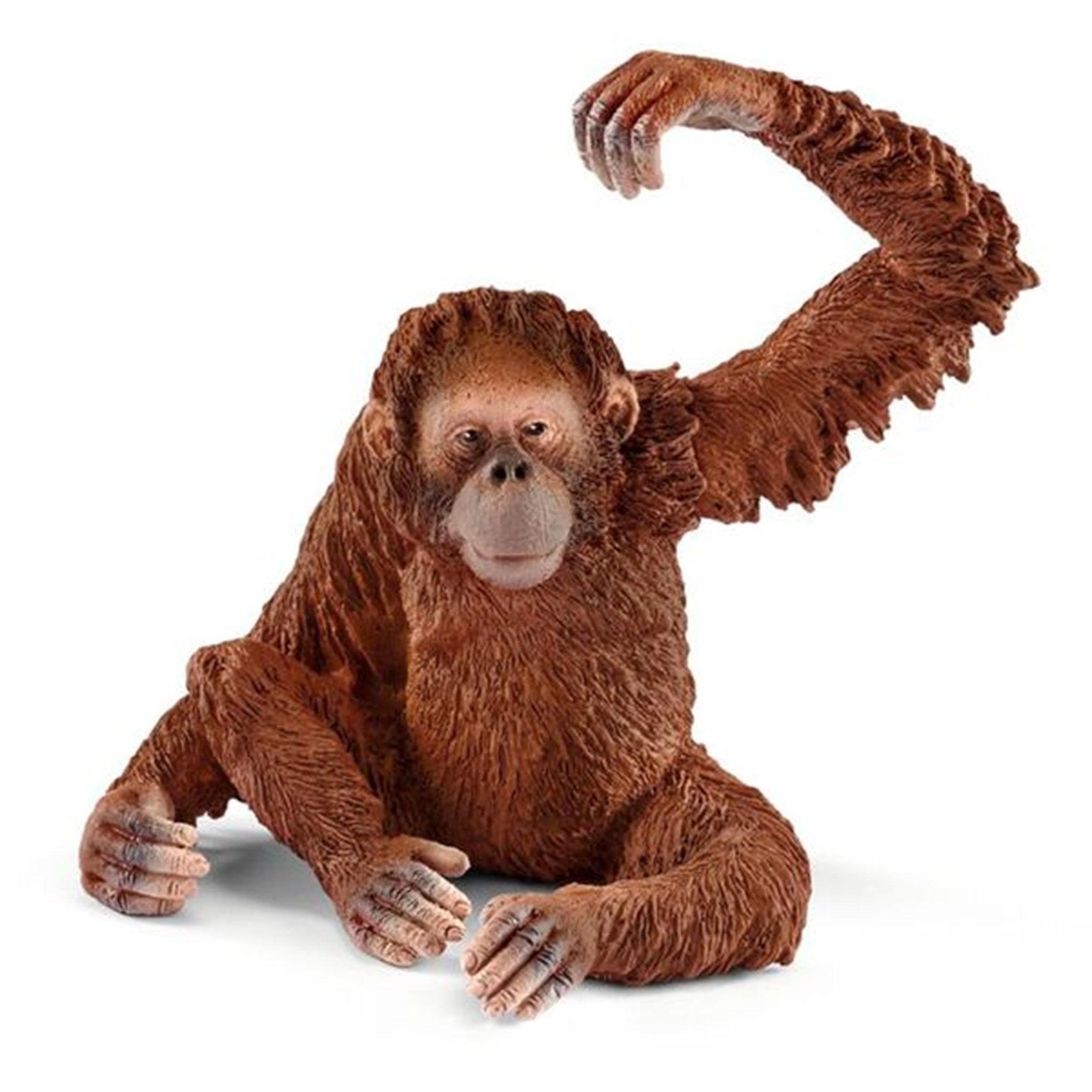 schleich® Wild Life Orangutang Hun