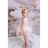 Dolly by Le Petit Tom Stars & Moon Velvet Leotard With Tulle Tutu Kjole Ballet Pink