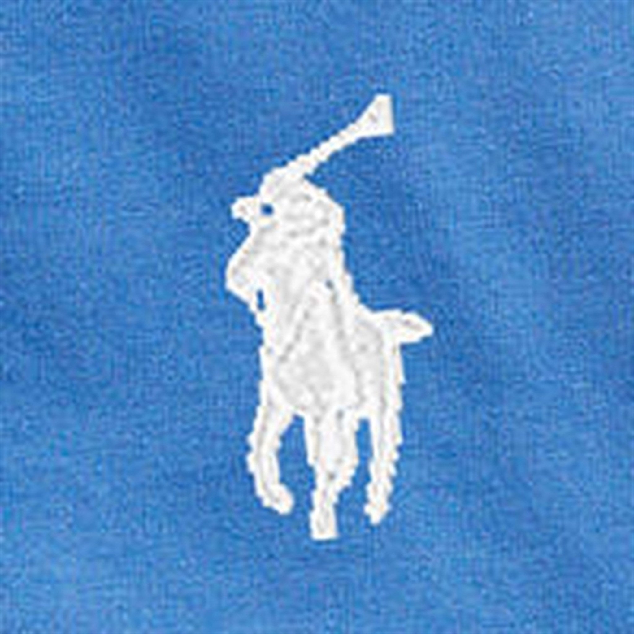 Polo Ralph Lauren Boys T-Shirt Liberty Blue 3