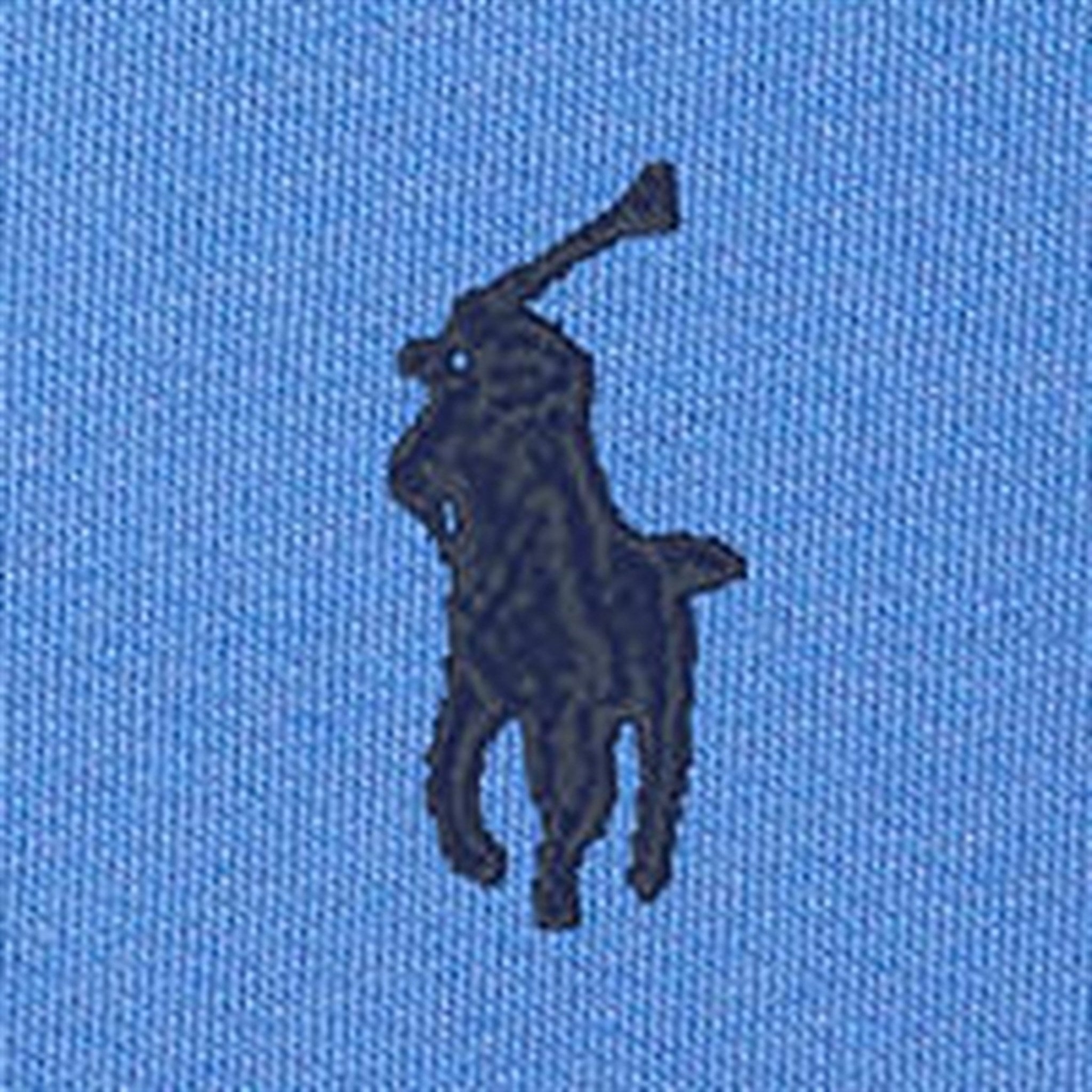 Polo Ralph Lauren Boys Sweatshirt Summer Blue 3