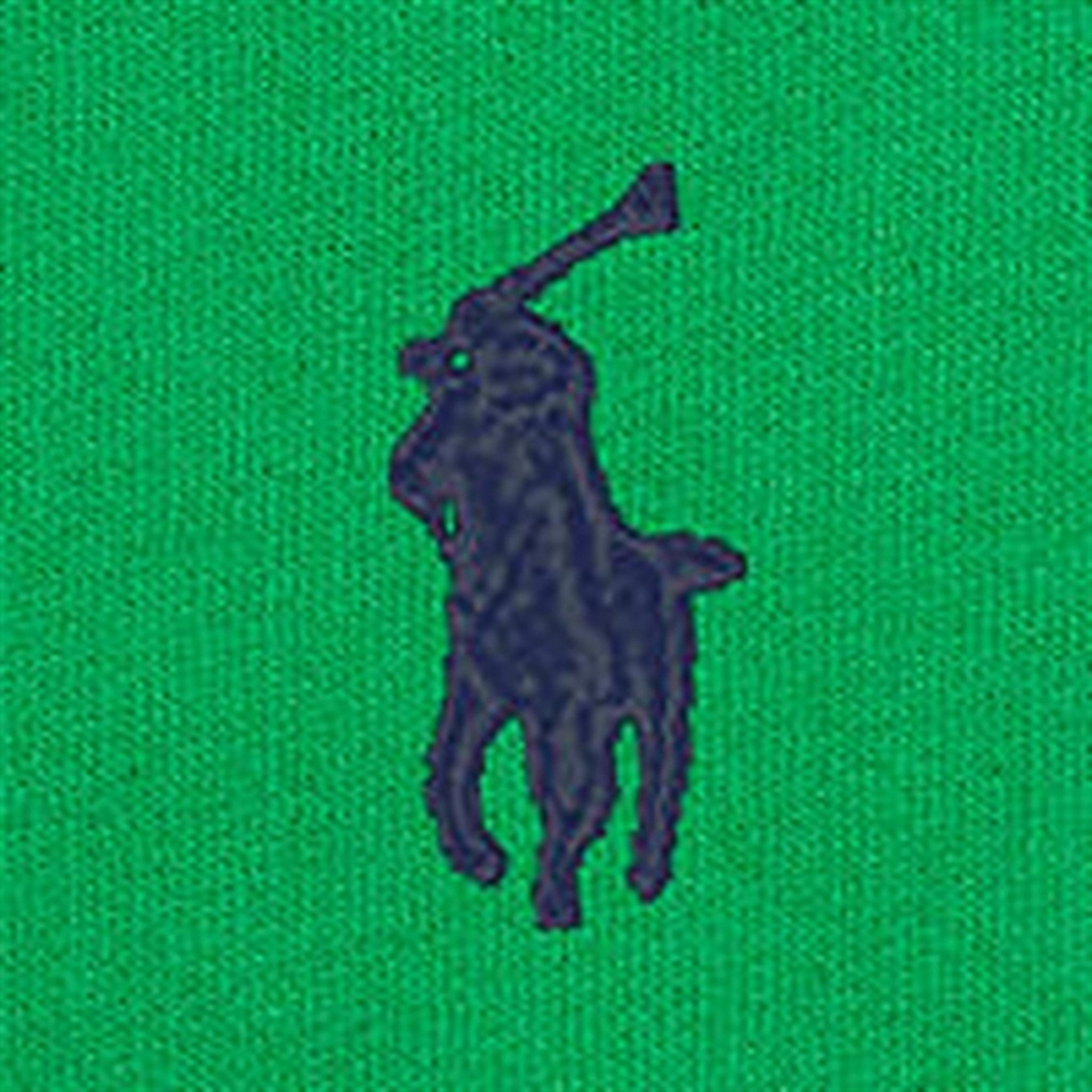 Polo Ralph Lauren Boys Sweatshirt Preppy Green 3