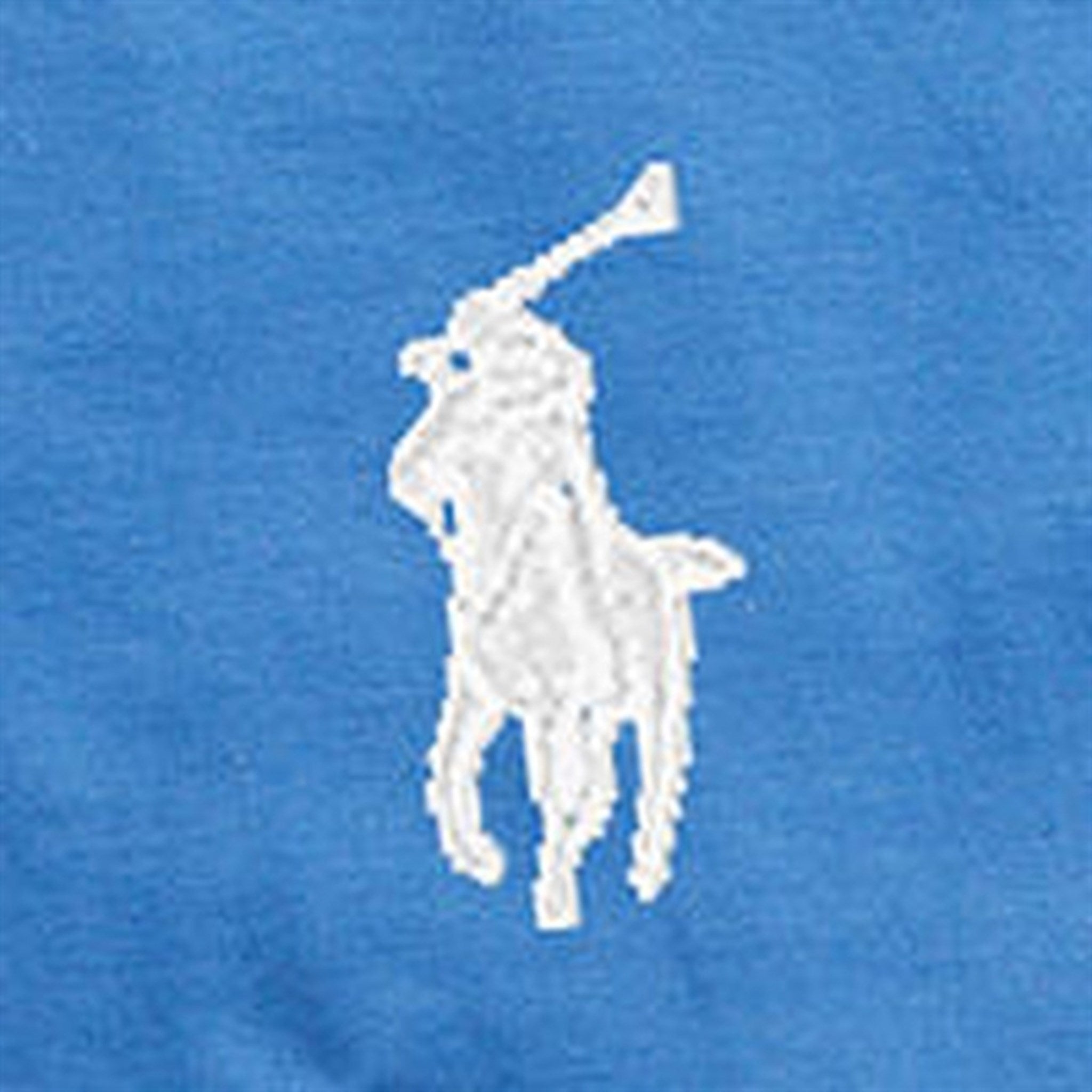 Polo Ralph Lauren Boys T-Shirt Liberty Blue 3
