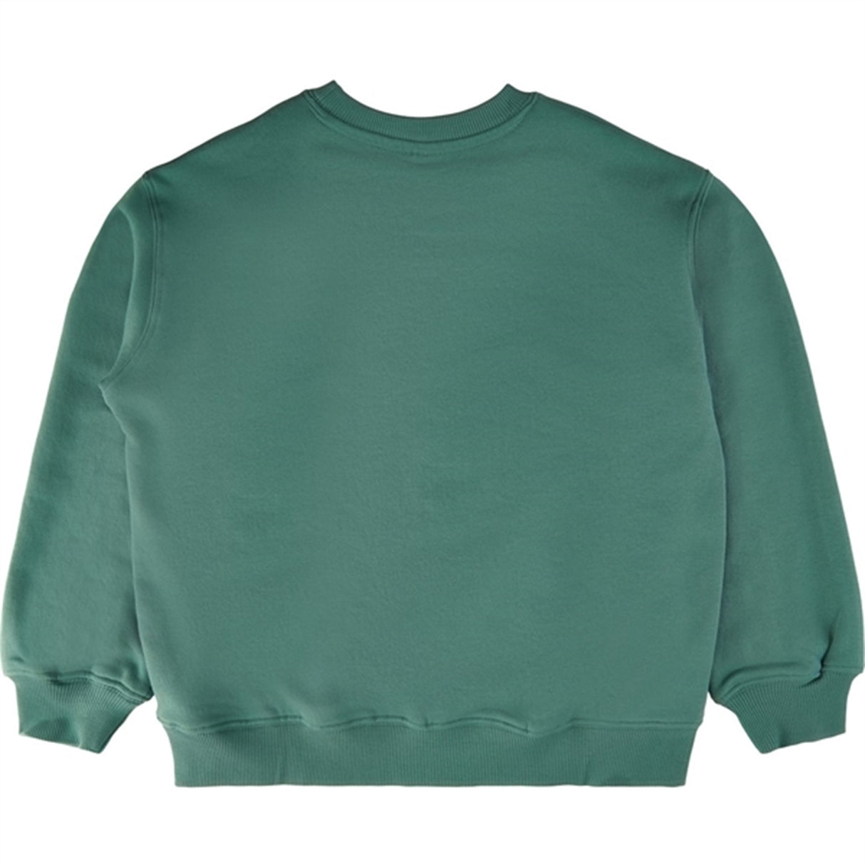 THE NEW Blue Spruce Fonso Sweatshirt 3