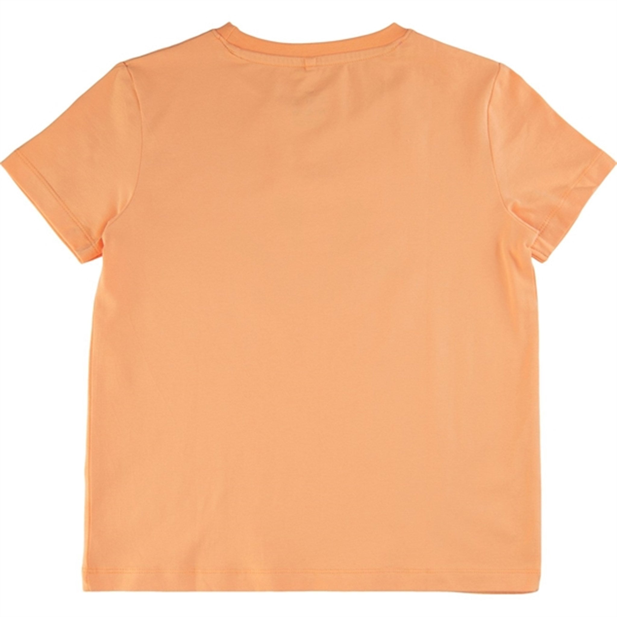 THE NEW Apricot Nectar Gala T-shirt 2