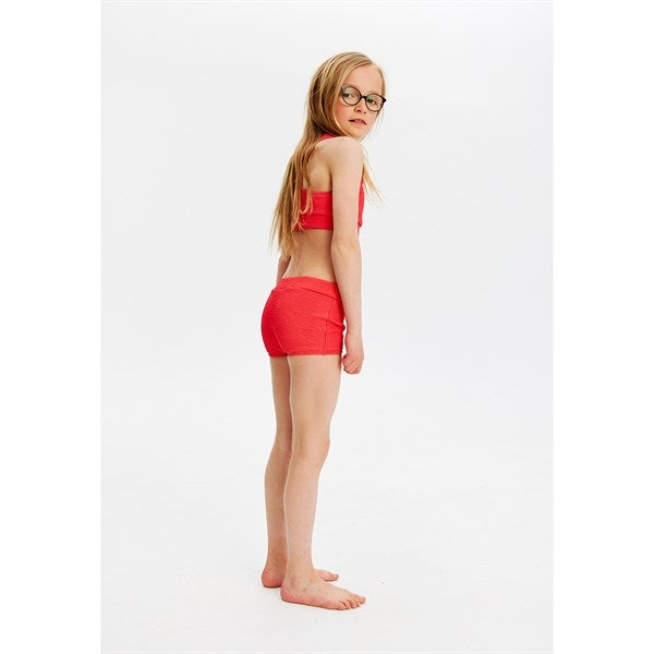 The New Geranium Jillian Bikini 2