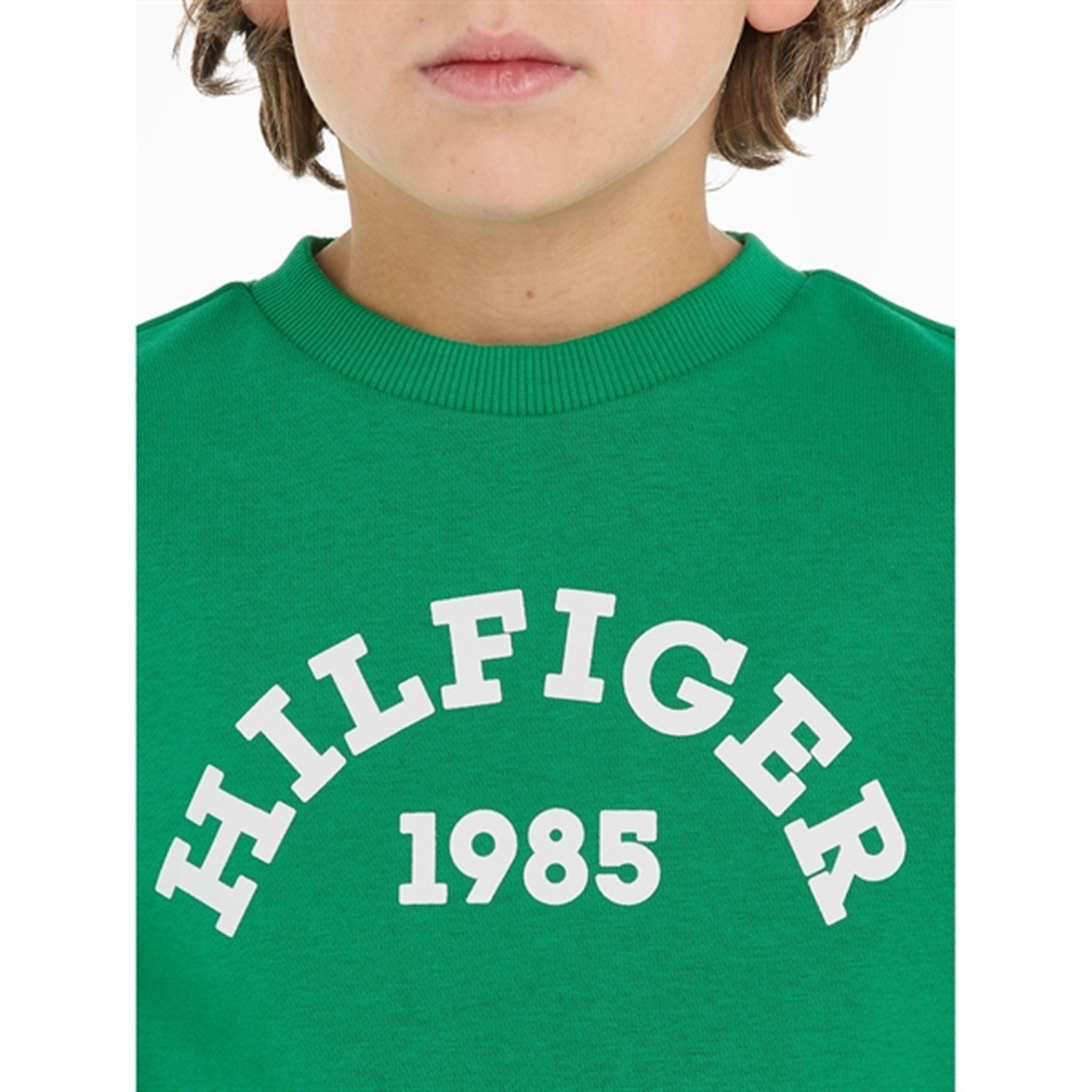 Tommy Hilfiger Hilfiger 1985 Sweatshirt Olympic Green 2